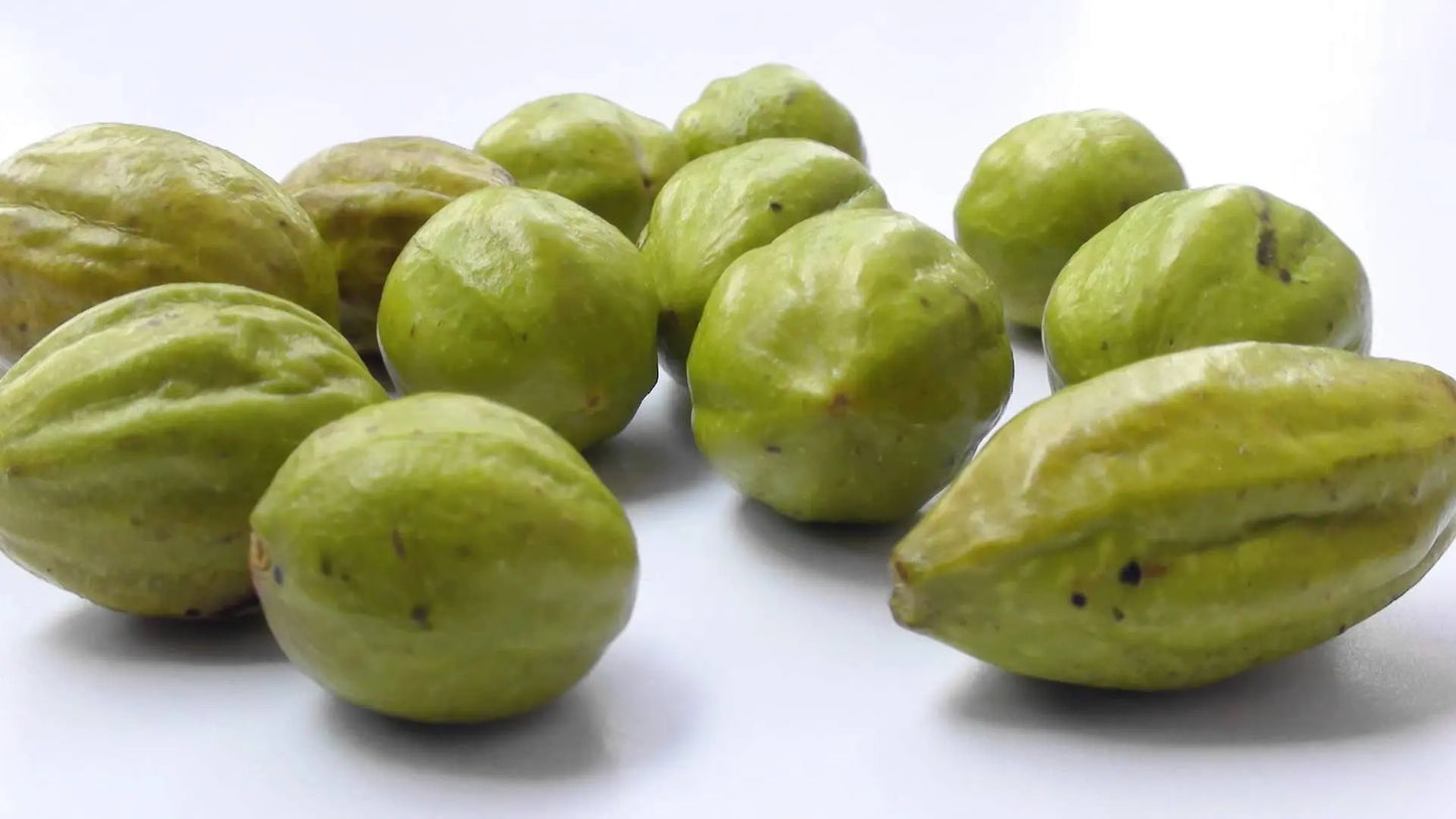 Organic Haritaki Plus Capsules Benefits