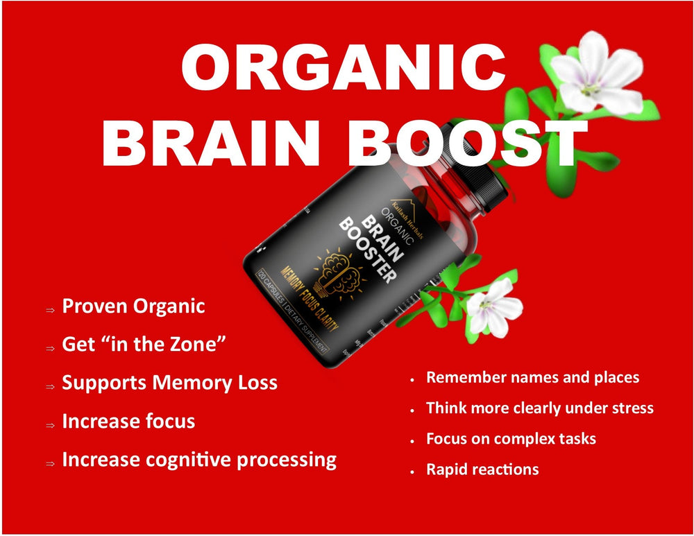 Organic Brain Boost with Bacopa increase focus